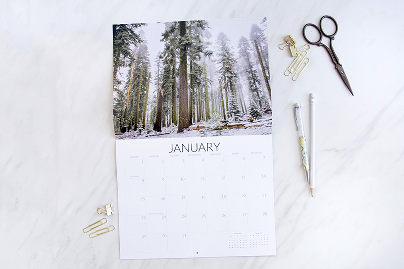 Print Marketing – Photographer's Calendar