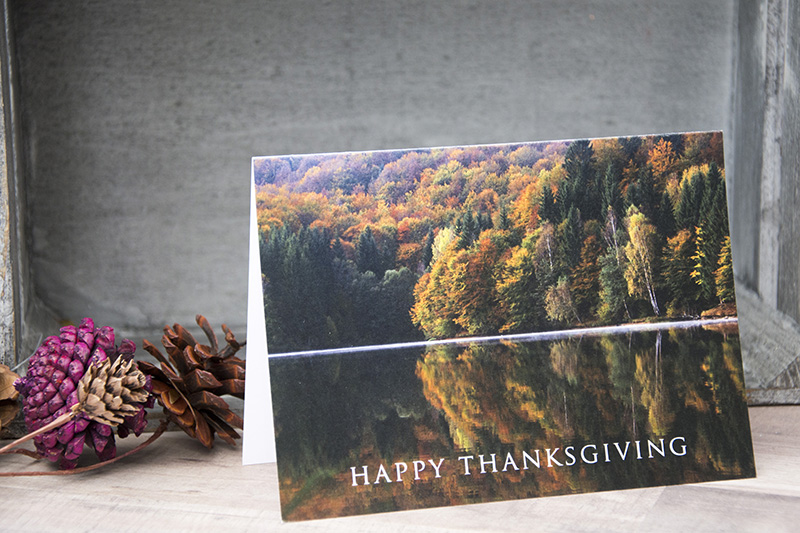 Graphic Design – Seasonal Greeting Cards